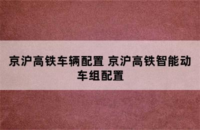 京沪高铁车辆配置 京沪高铁智能动车组配置